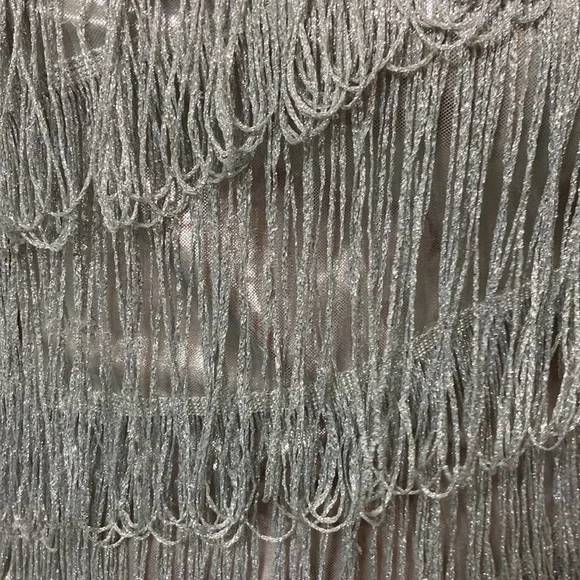 Spirit Halloween women’s silver flapper girl dress. Size adult small (4-6) - Picture 6 of 14